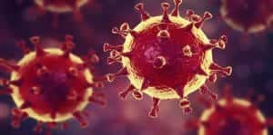 Coronavirus : pas d’école pour les élèves revenant de Chine