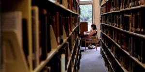 MOOCs : le métier d’étudiant et les abeilles