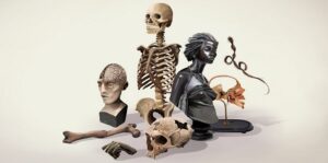 Deux MOOC sur la géographie et l’anthropologie